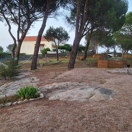 Casas De Campo Villa D'Almeida Travancinha Exterior foto